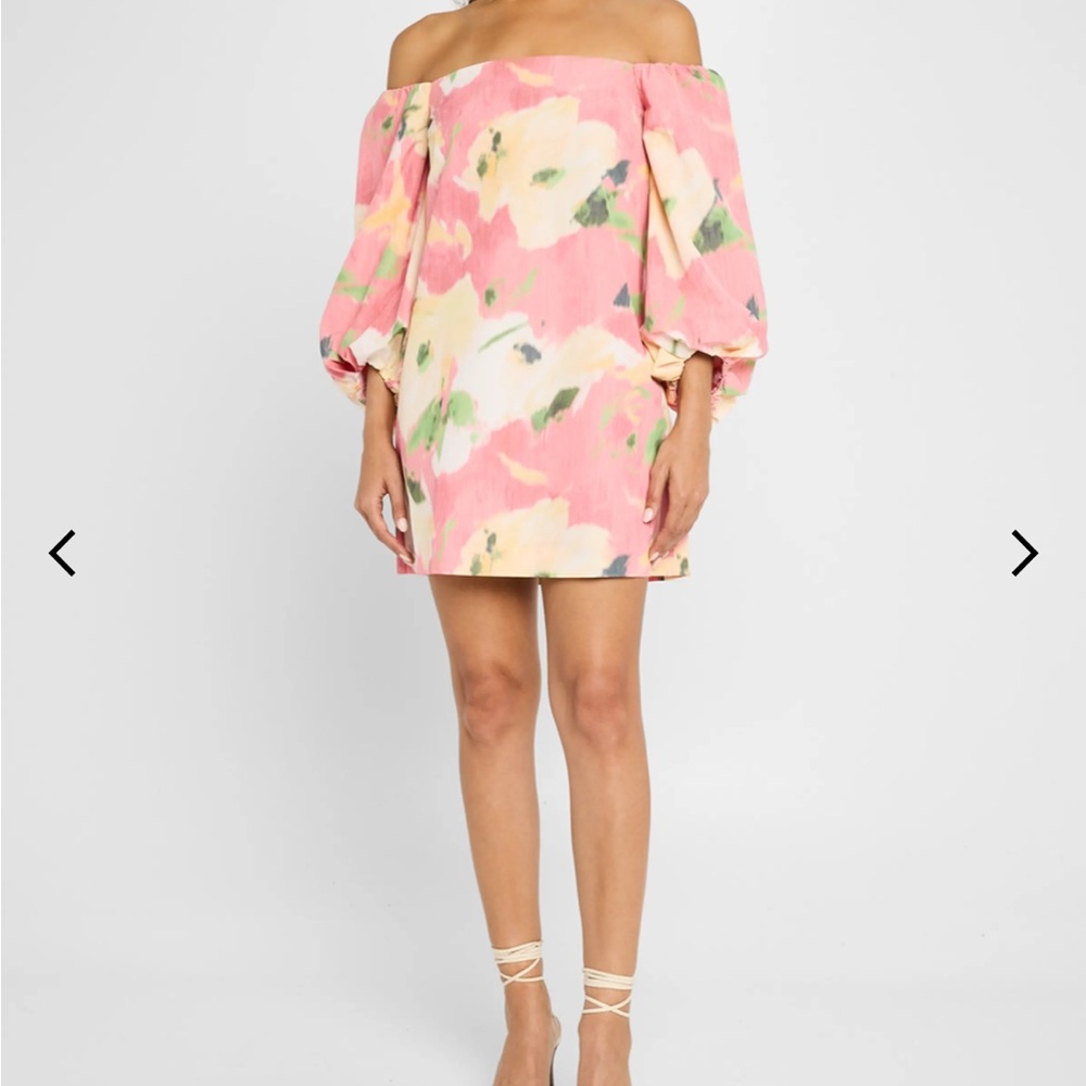 NWT Tanya Taylor Pink Floral Dress